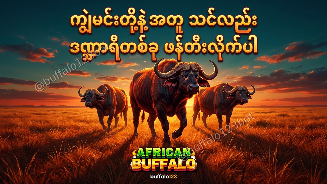 ကျွဲဂိမ်း Buffalo123 Official