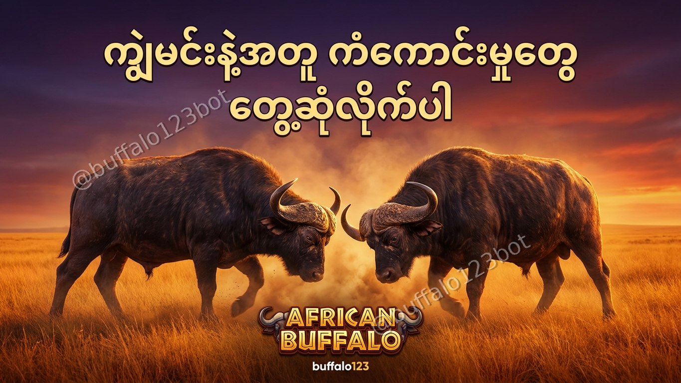ကျွဲဂိမ်း Buffalo123 Official