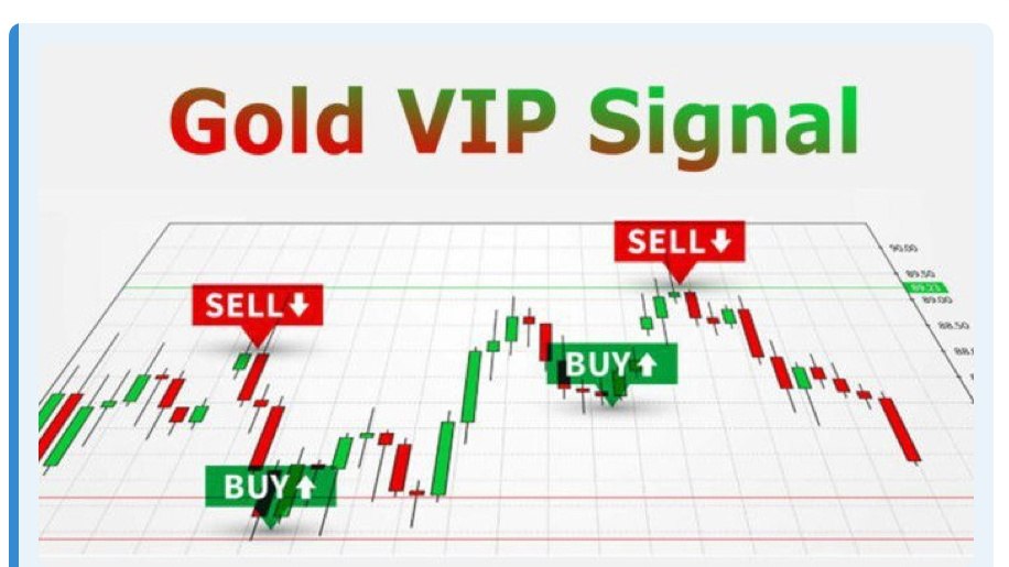 THE VIJAY TRADES