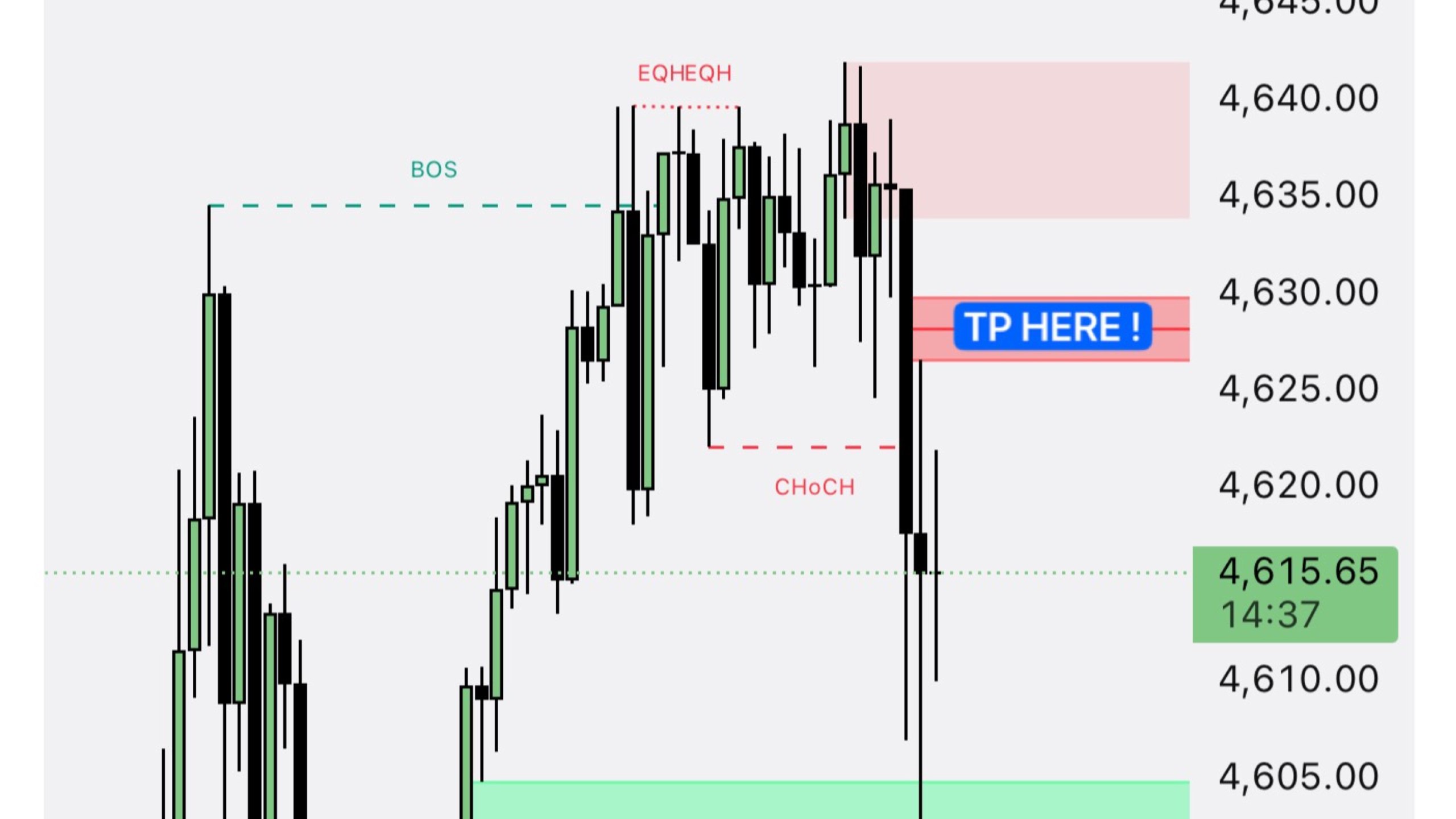 Zayed Indicator Trade 🇦🇪