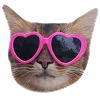 😎