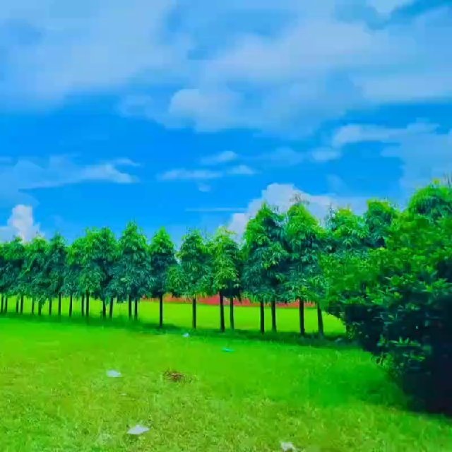 @prokritirchhowa