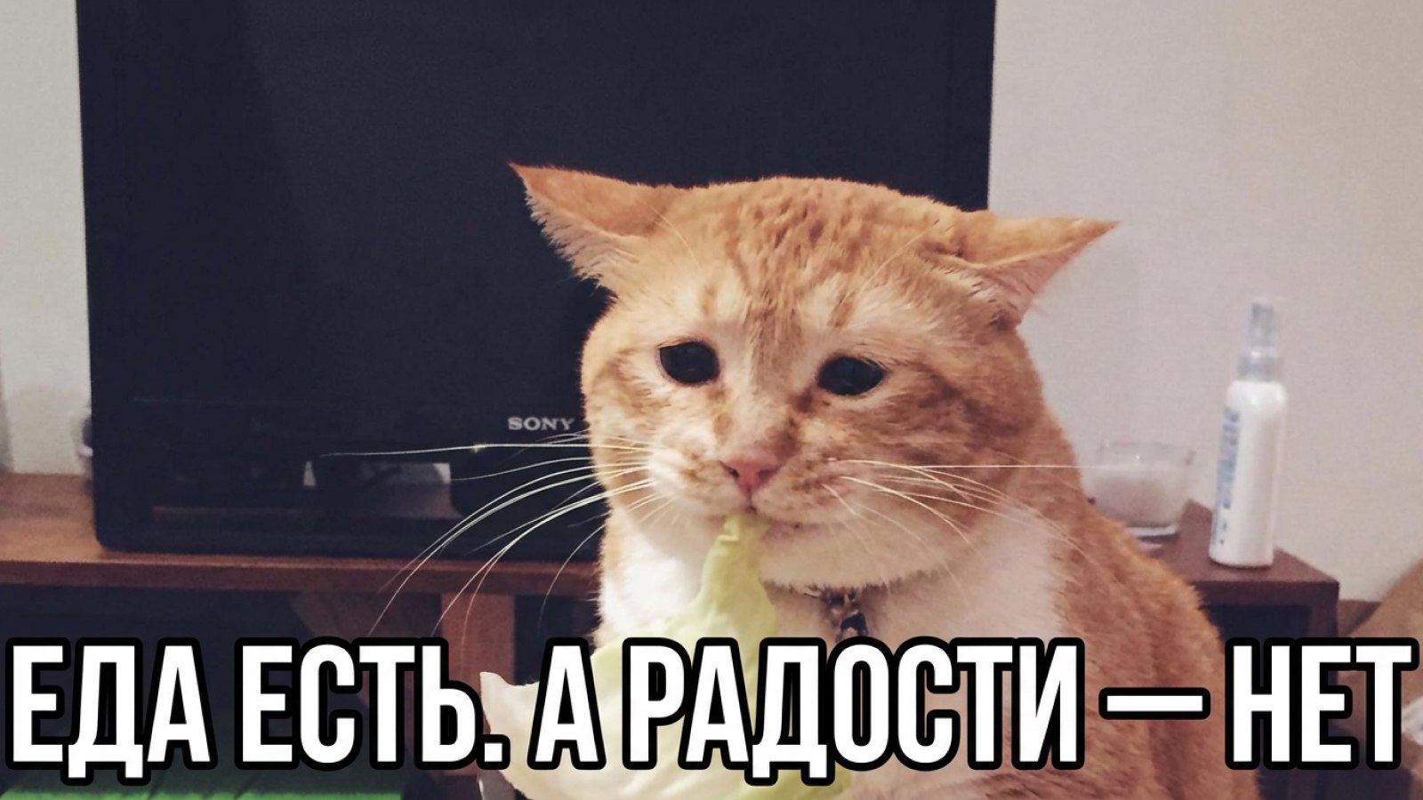 Метод восстановления пищеварения