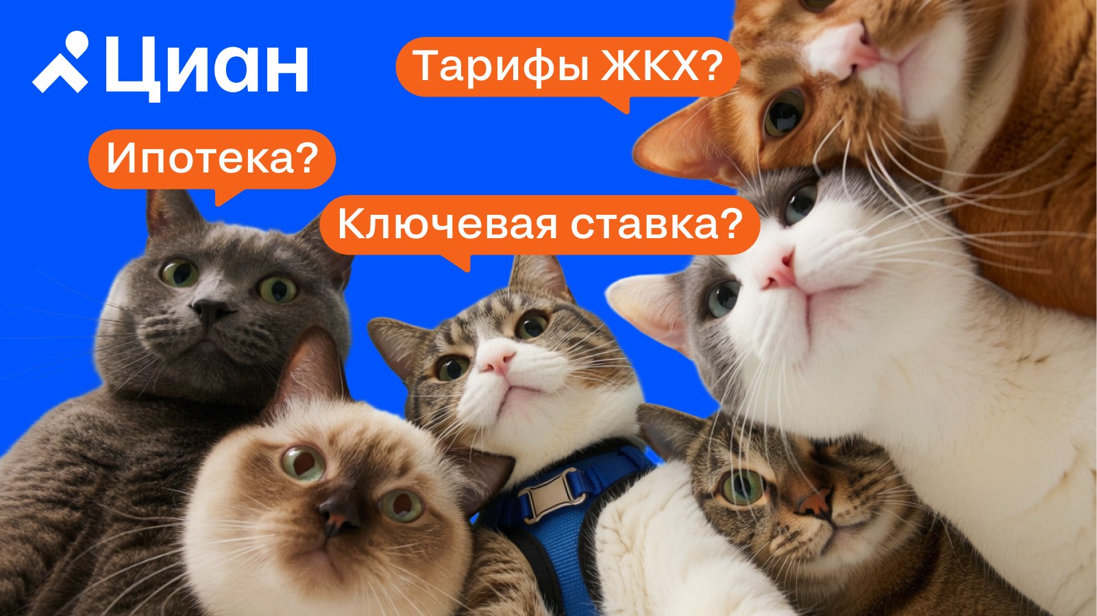 Циан