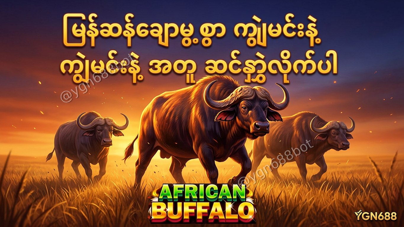 YGN688 - အော်တိုတိုက်ရိုက်ဂိမ်းဆိုက်