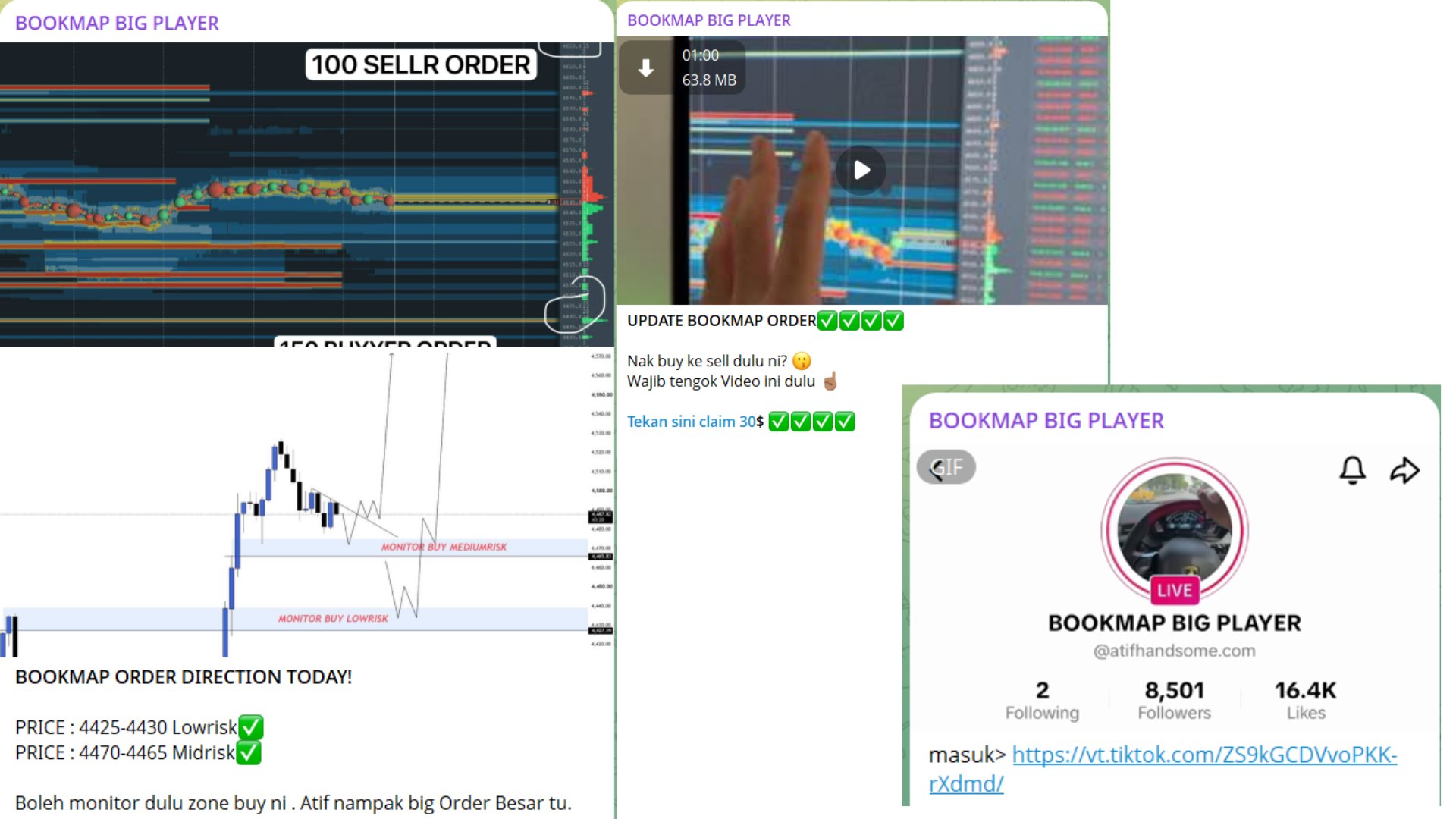 BOOKMAP BIG PLAYER