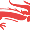 🐲