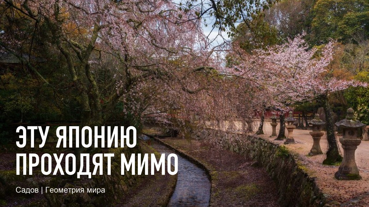 Садов | Геометрия мира