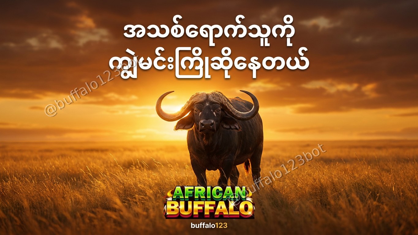 ကျွဲဂိမ်း Buffalo123 Official