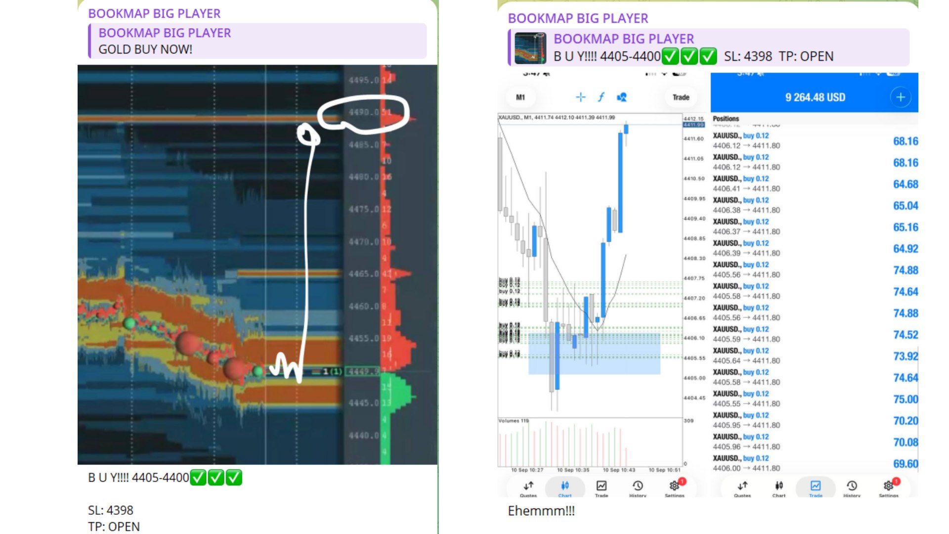BOOKMAP BIG PLAYER