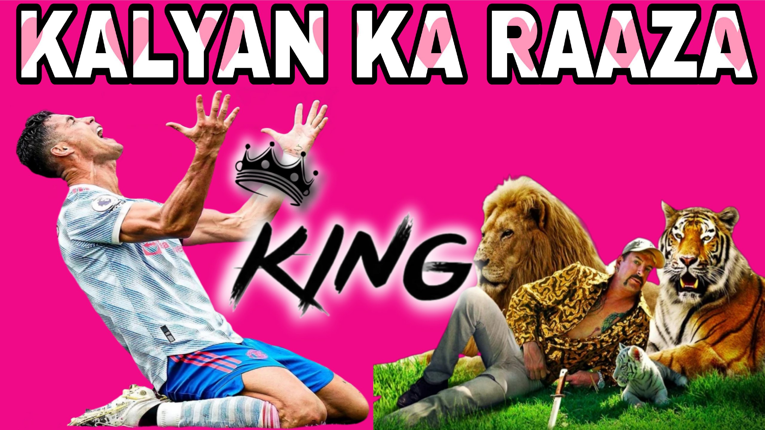 👉TIGER OFFICIAL KING👌