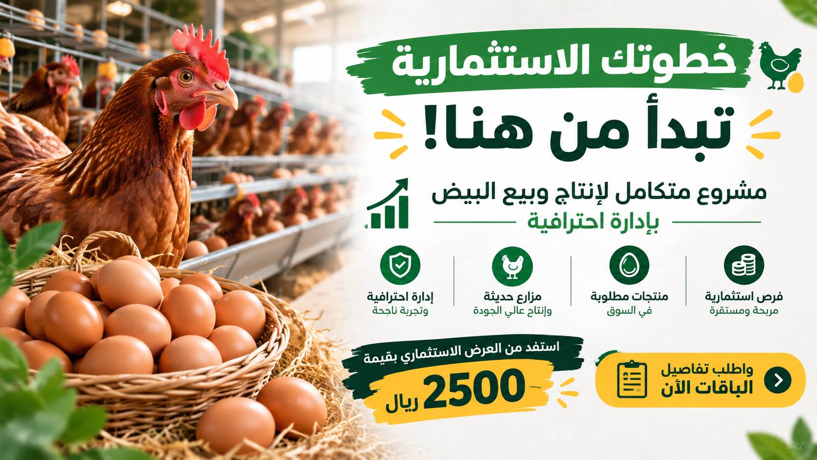 استثمار مزارع || للدواجن