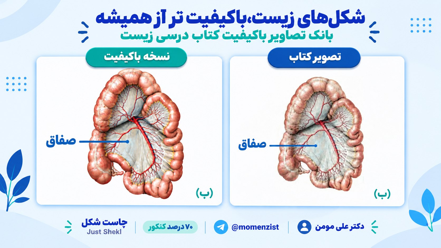 زیست کنکور | علی مومن