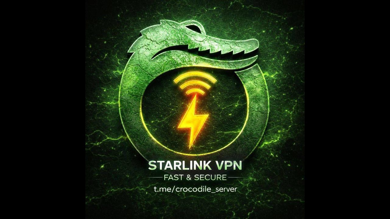 Crocodile Server ️️