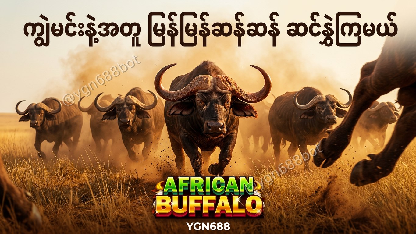 YGN688 - အော်တိုတိုက်ရိုက်ဂိမ်းဆိုက်
