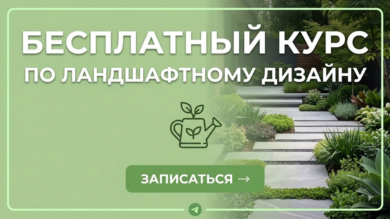 Ландшафтный дизайн с нуля