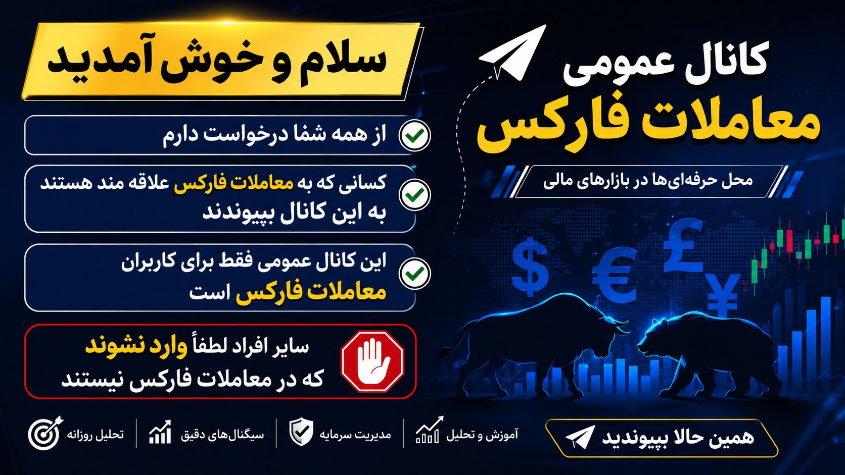 Forex Club