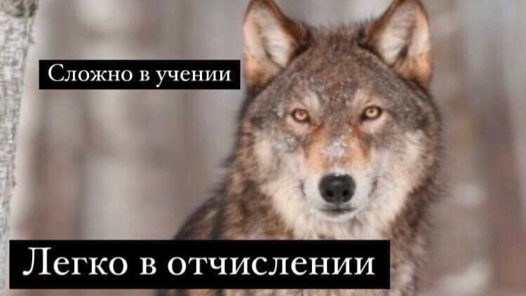 Ильдар | Математика ЕГЭ ОГЭ