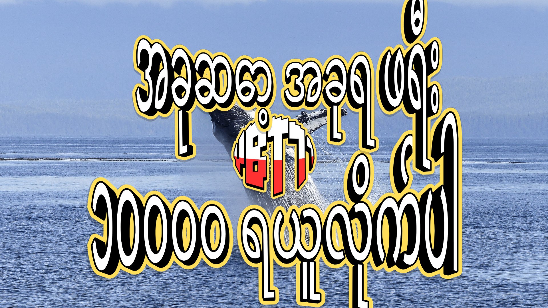 VIBET77