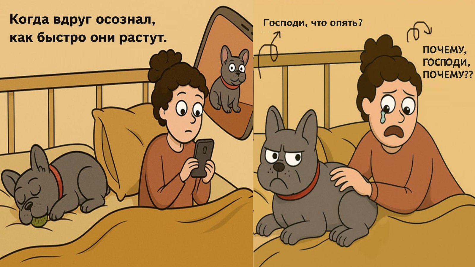 Ветеринарные центры Dr.Hug