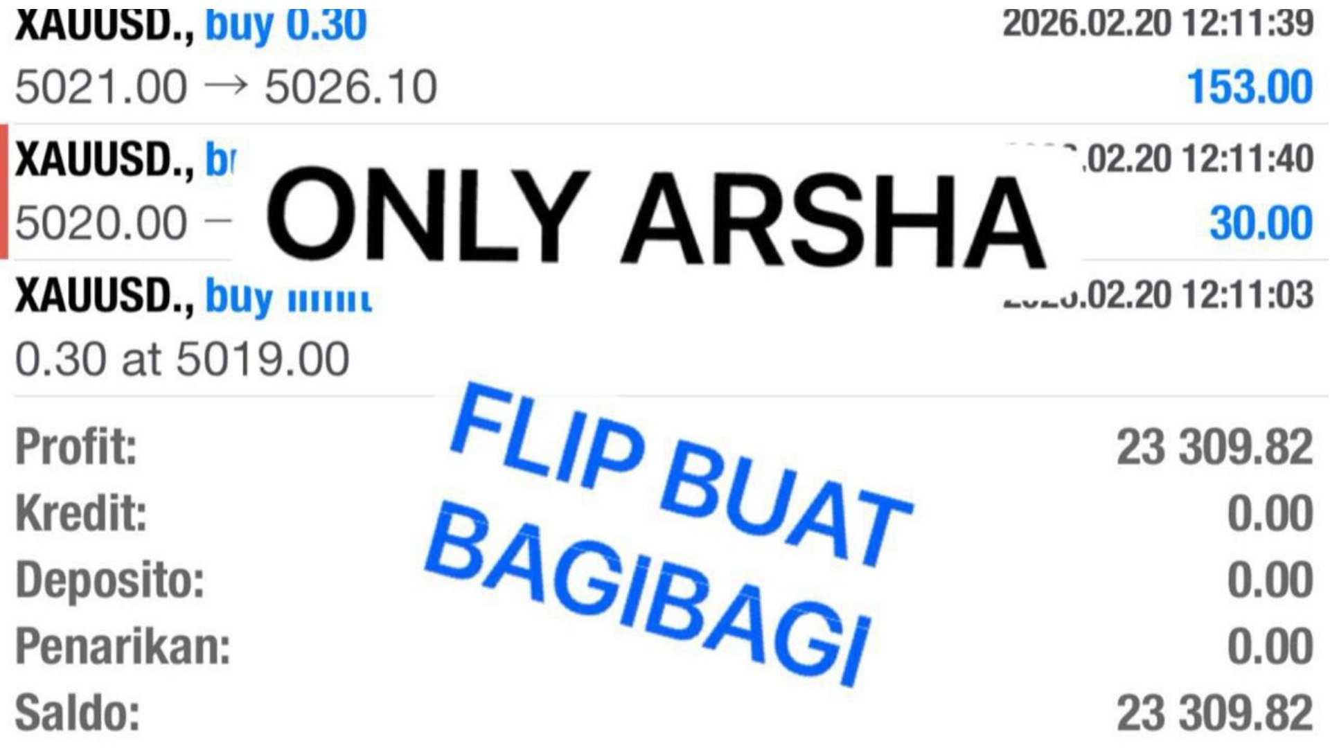ARSHA CAPITAL