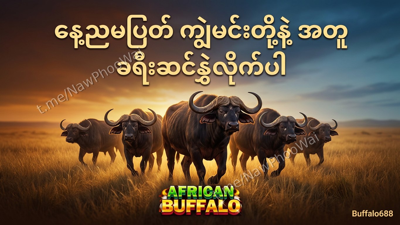 ⏰ ကျွဲဂိမ်း - နော်ဖူးဝေ 24 နာရီဝန်ဆောင်မှု
