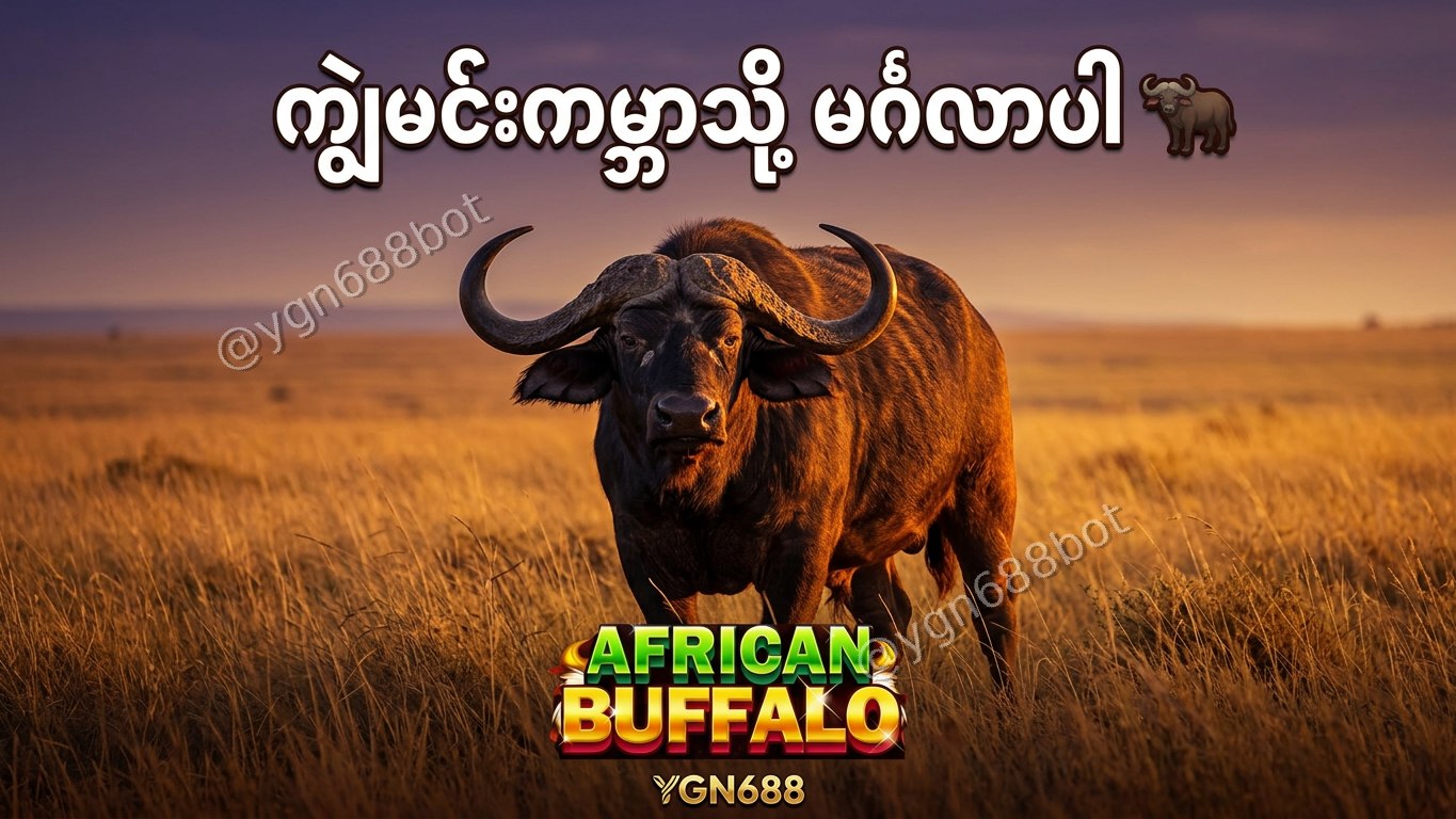 YGN688 - အော်တိုတိုက်ရိုက်ဂိမ်းဆိုက်
