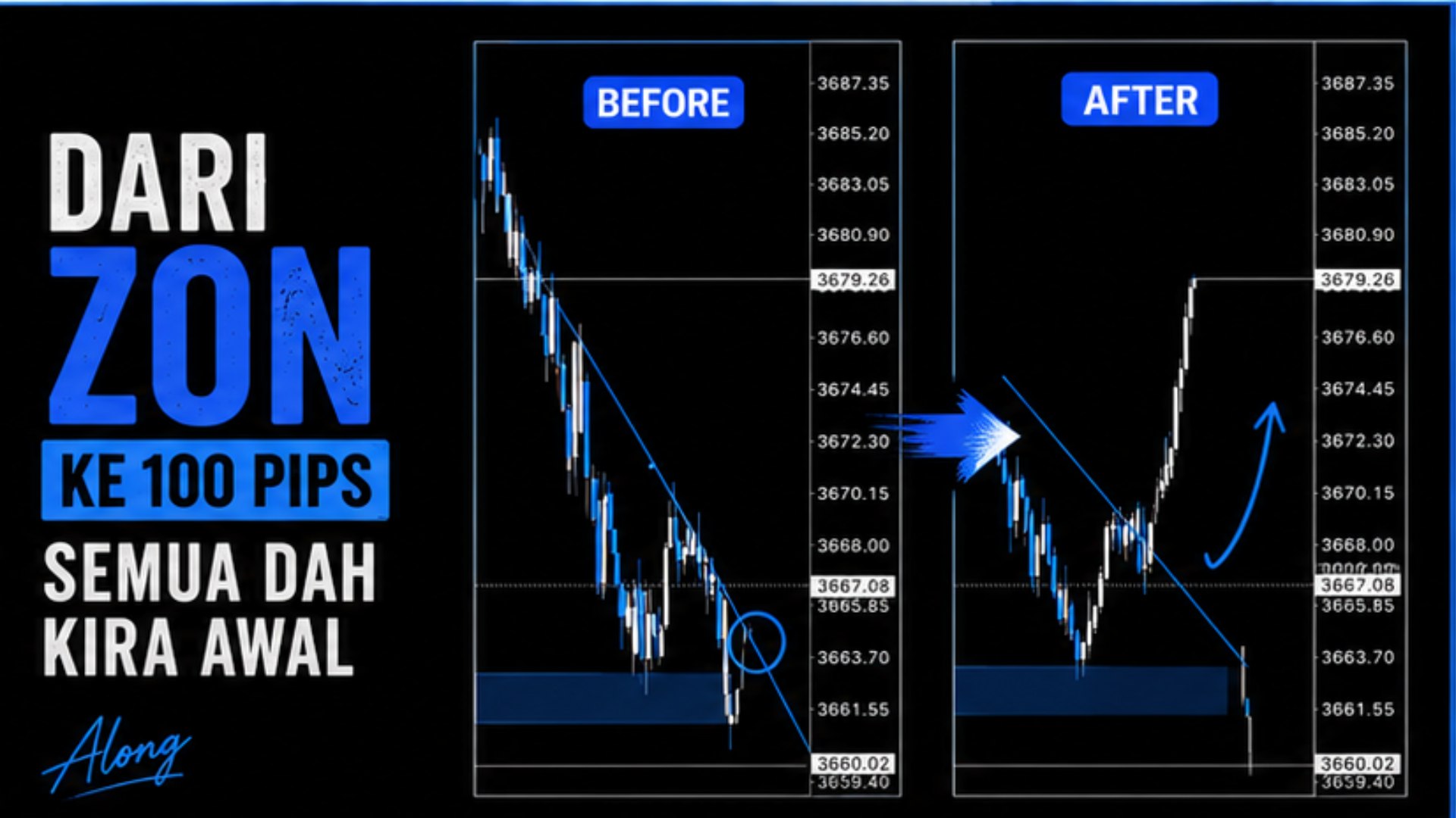 Along Gold Scalper