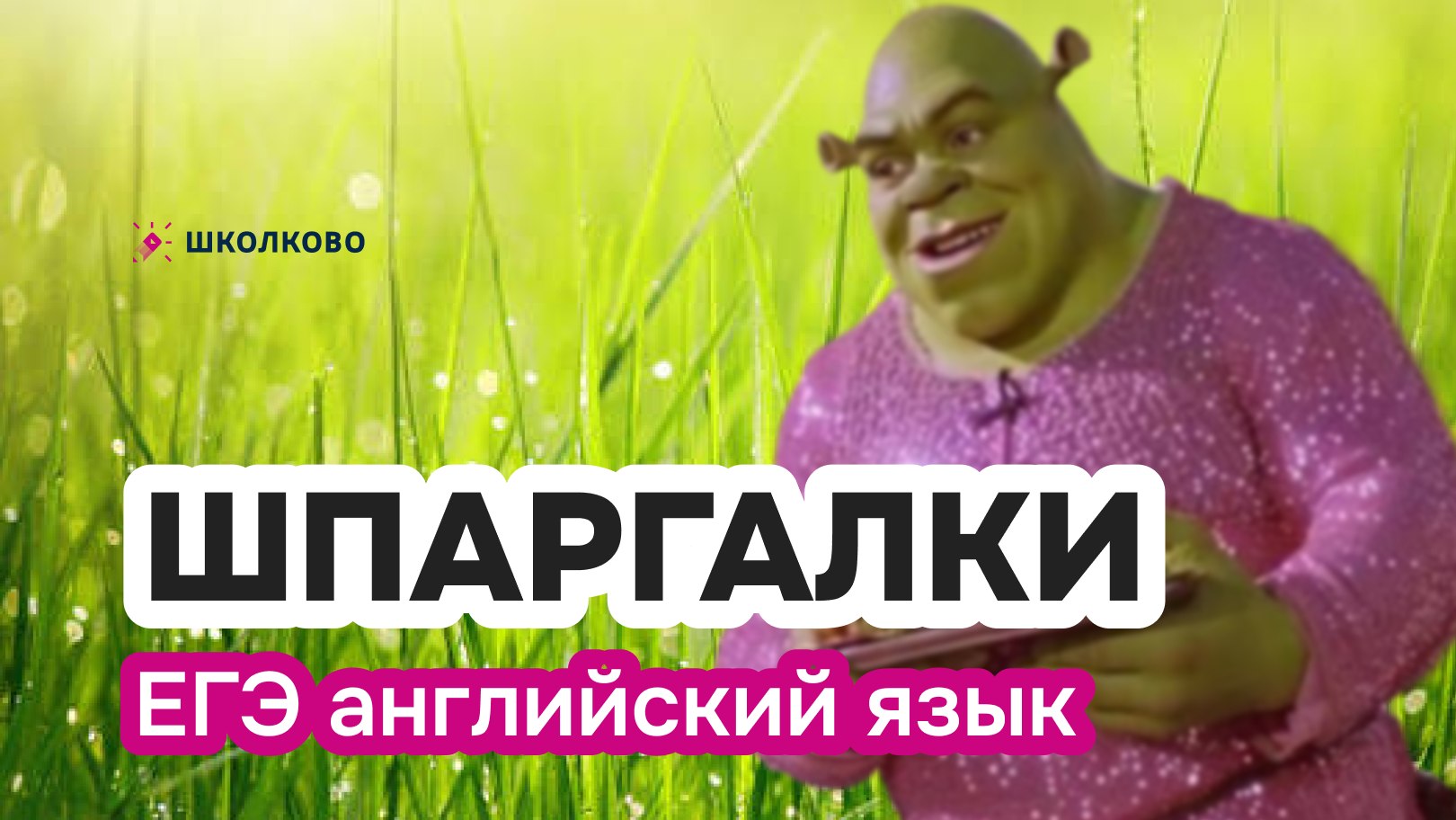 Самира Английский язык ЕГЭ 2026