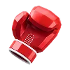 🥊