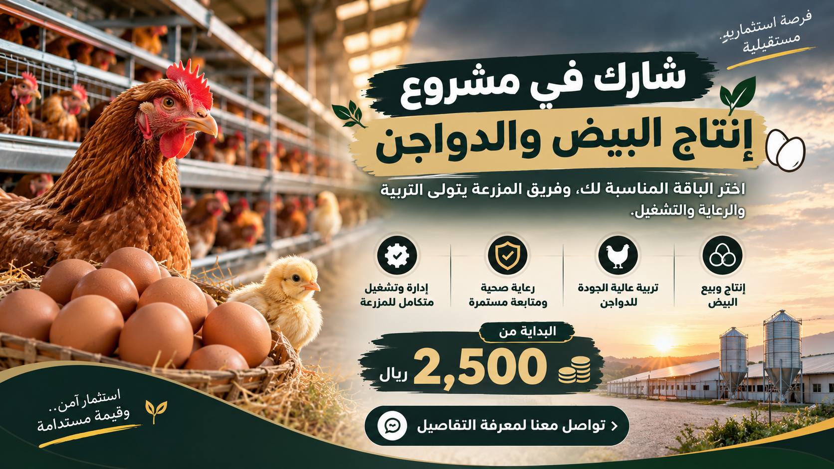 استثمار مزارع || للدواجن
