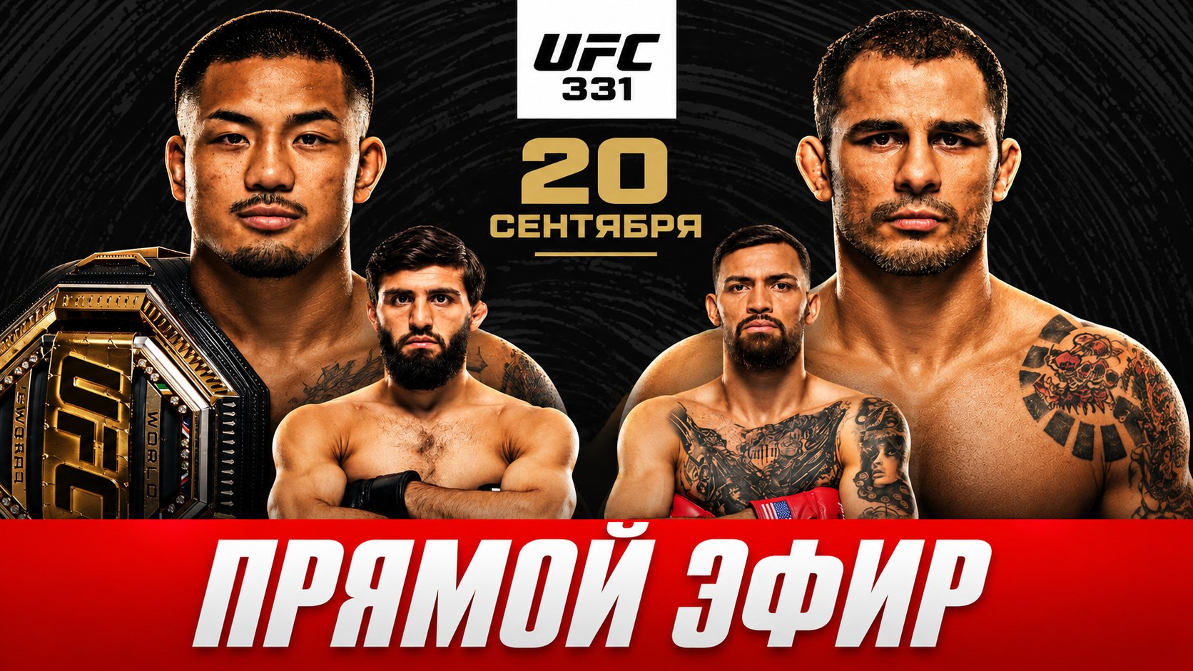 UFC LIVE 296
