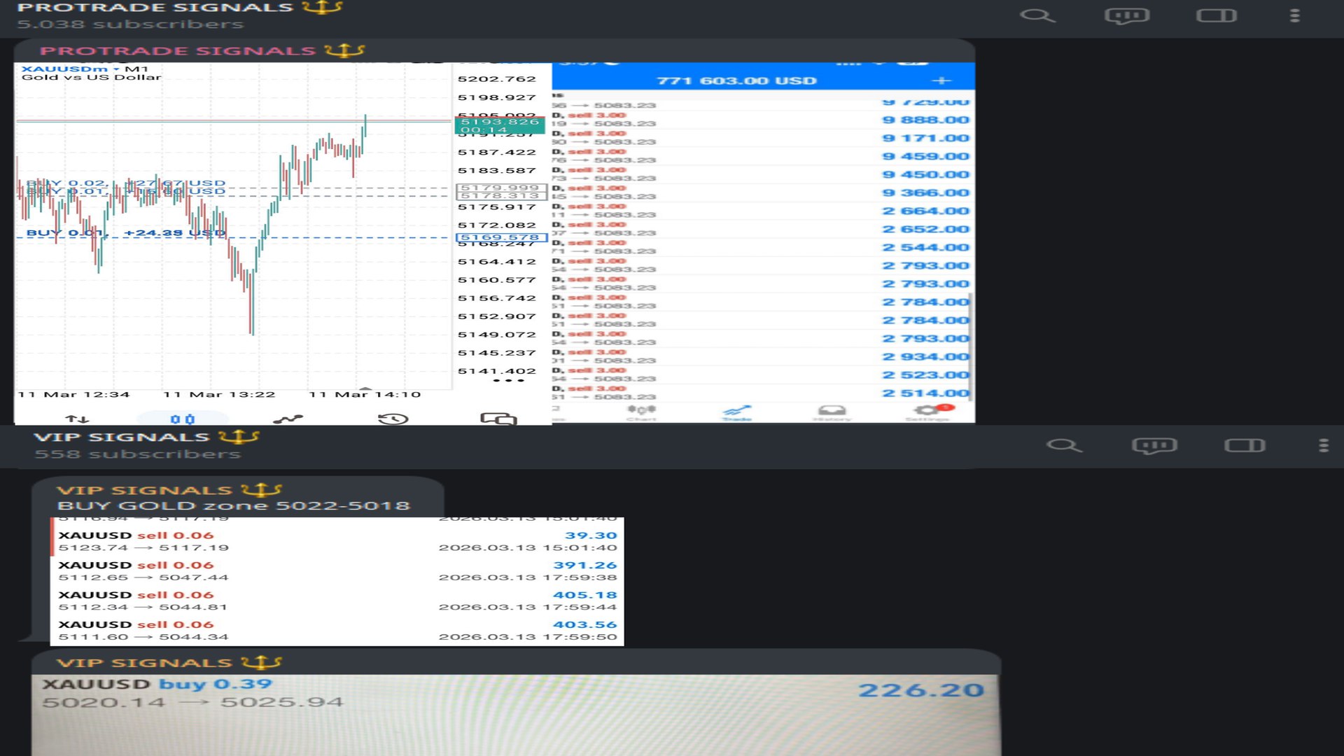 PenGu TraDing Fx