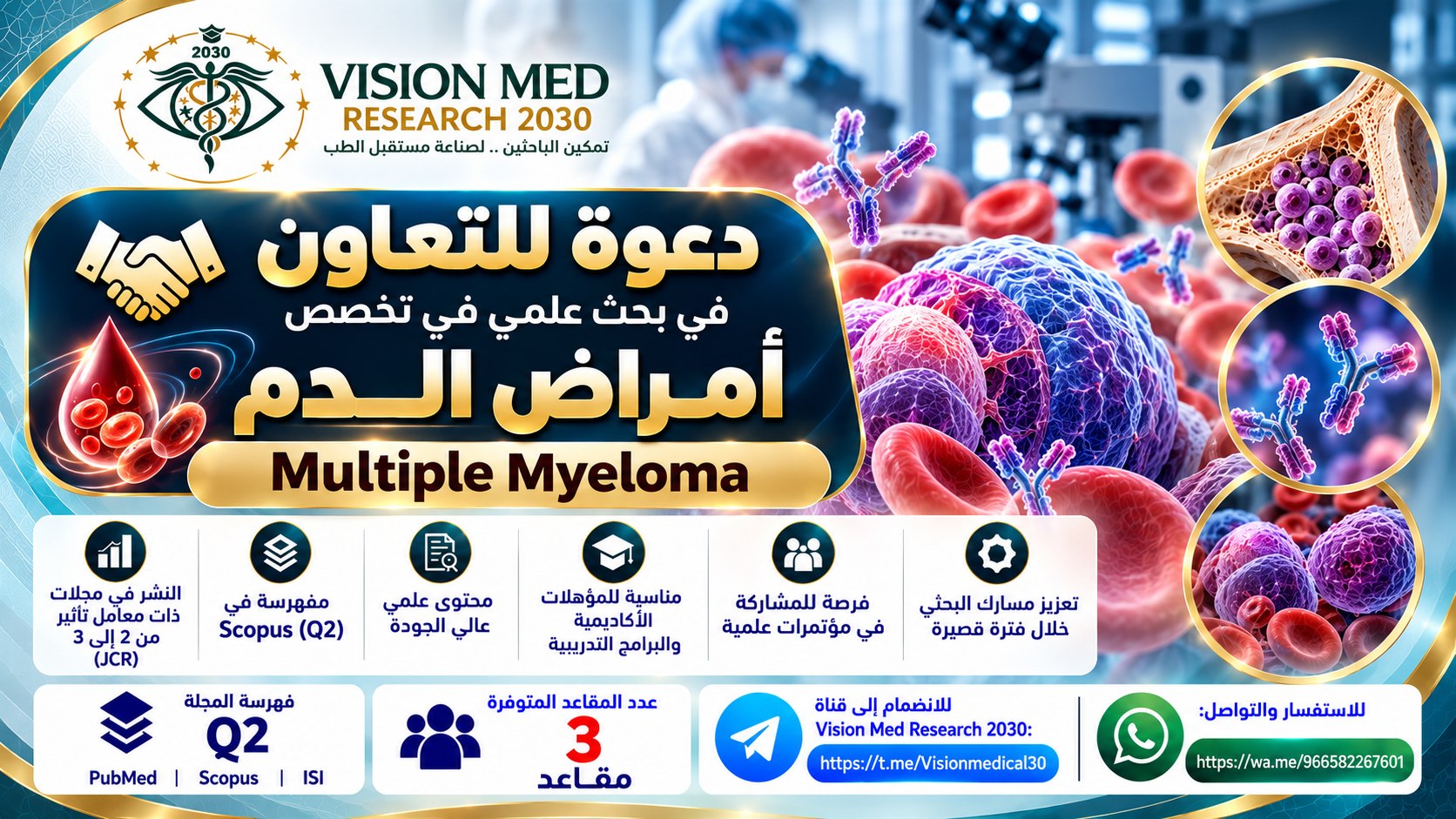 Vision Med Research 2030