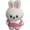 🐰