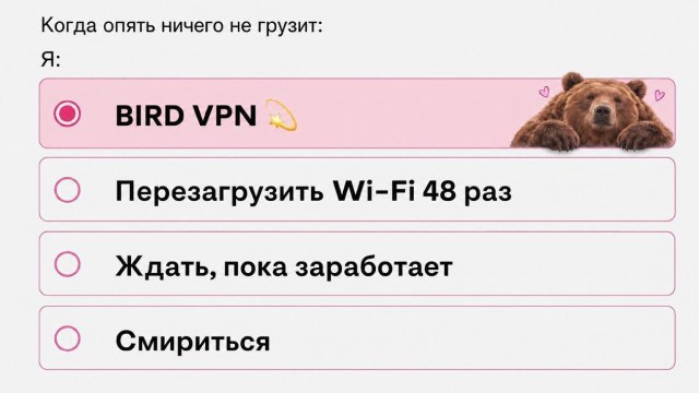 BIRD VPN