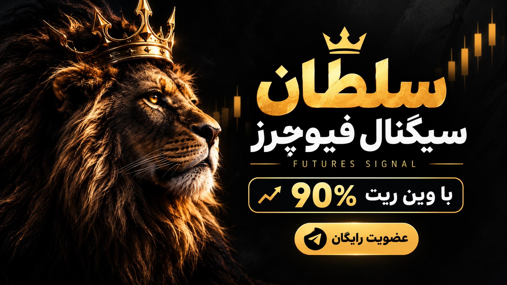 SOLTAN CRYPTO | VIP