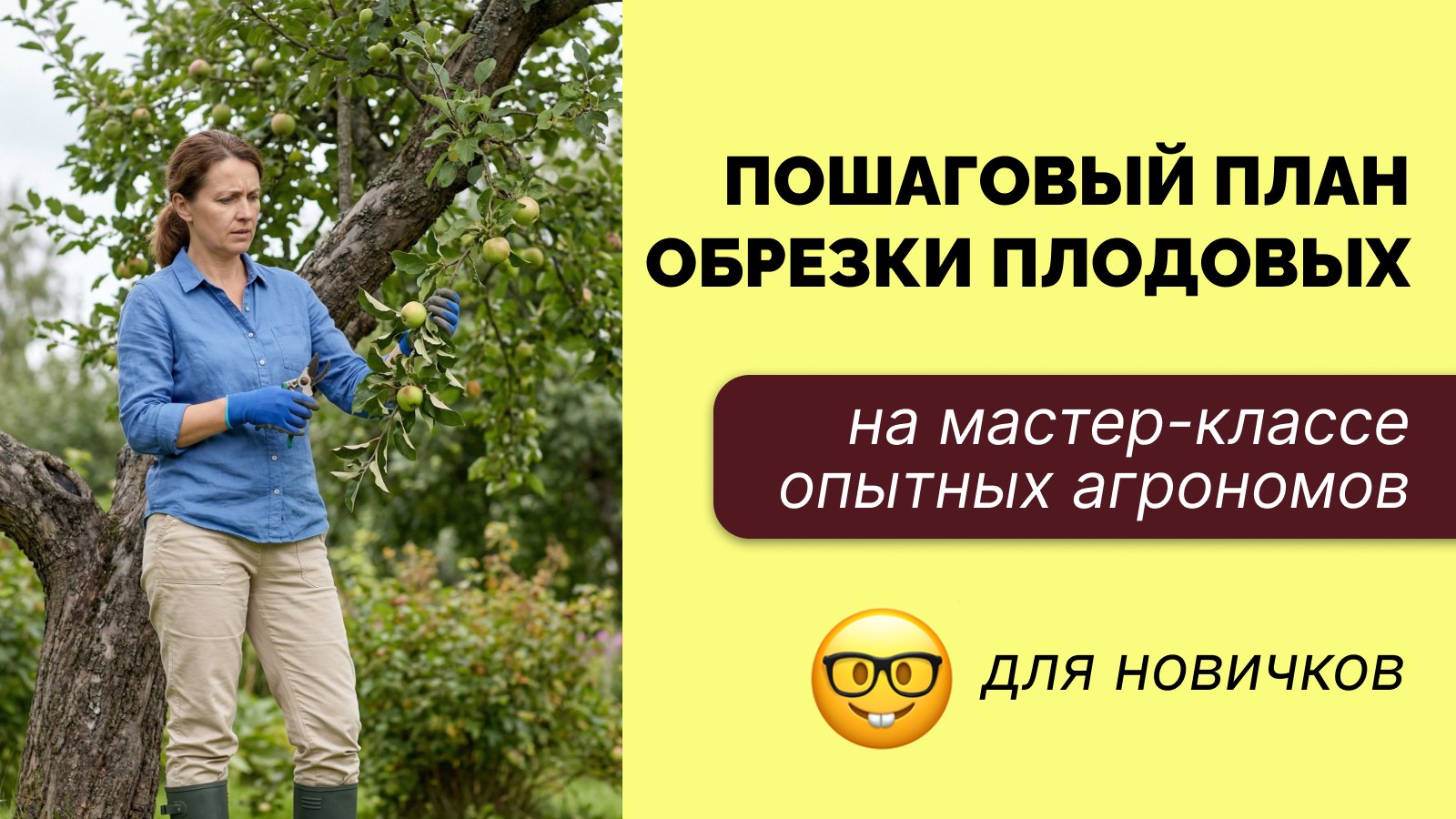 Диагностический марафон по обрезке