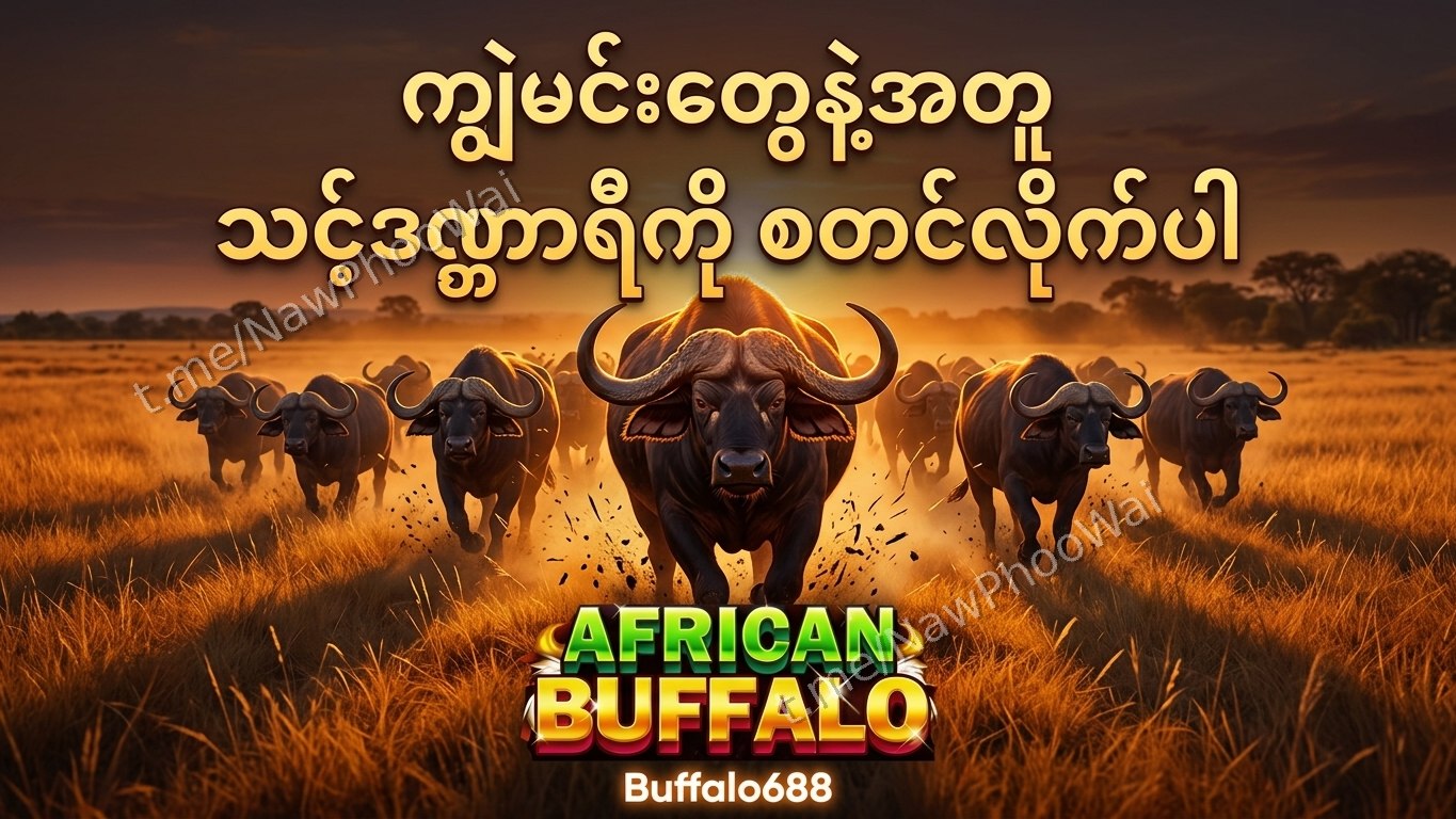 ⏰ ကျွဲဂိမ်း - နော်ဖူးဝေ 24 နာရီဝန်ဆောင်မှု