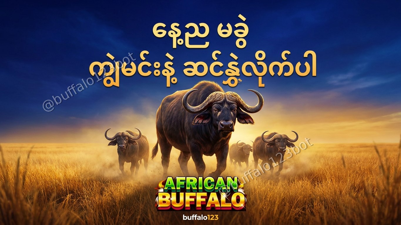 ကျွဲဂိမ်း Buffalo123 Official