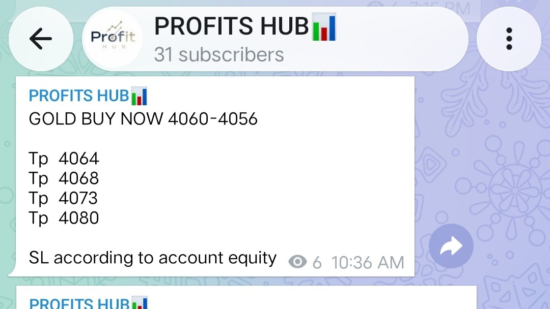 PROFITS HUB™