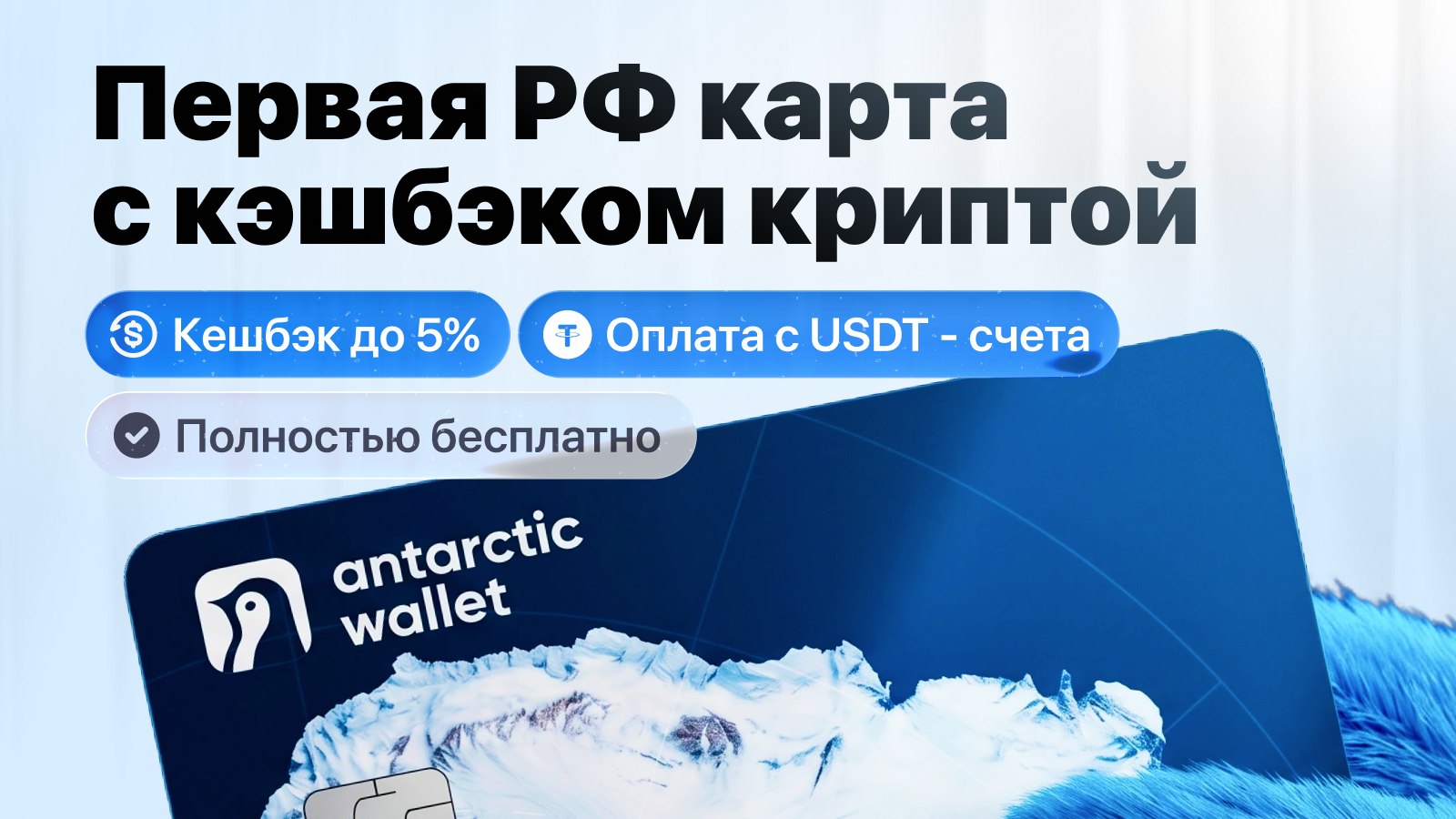 Antarctic Wallet