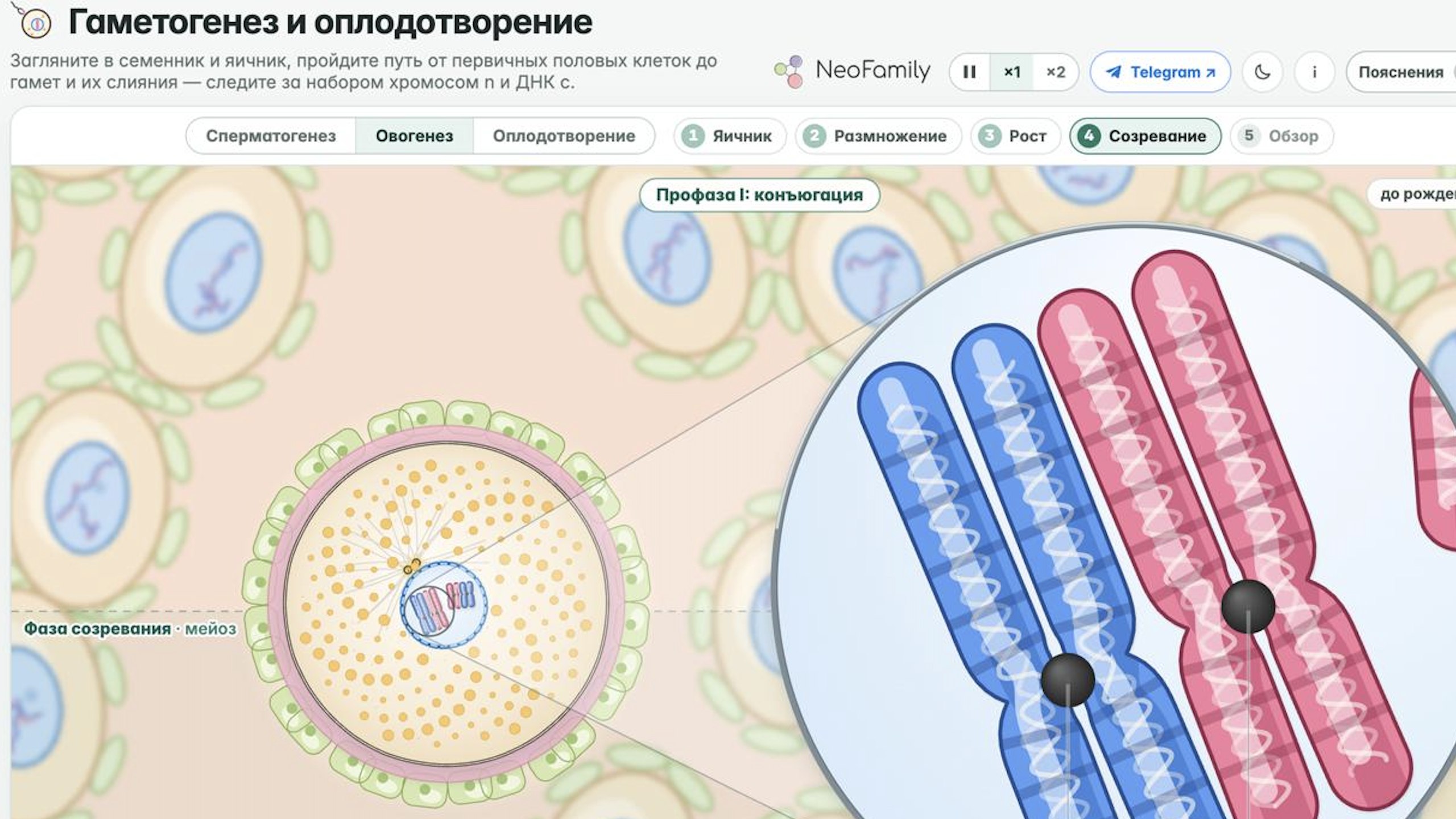 NeoFamily | Биология ЕГЭ-2027 | Андрей и Нурлан