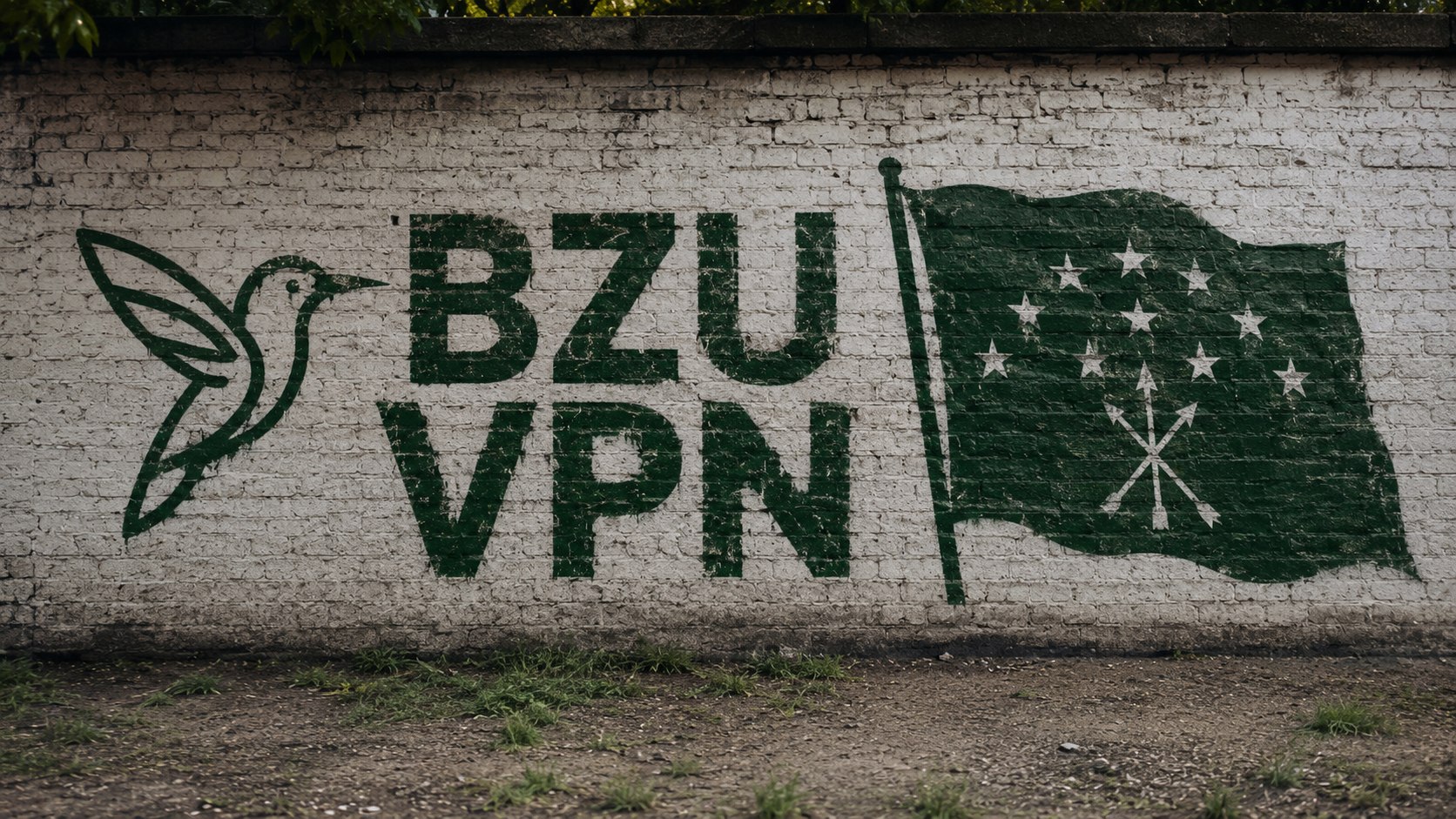 BZU VPN
