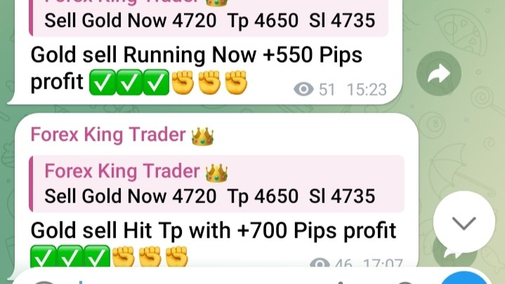 Forex King Trader 👑