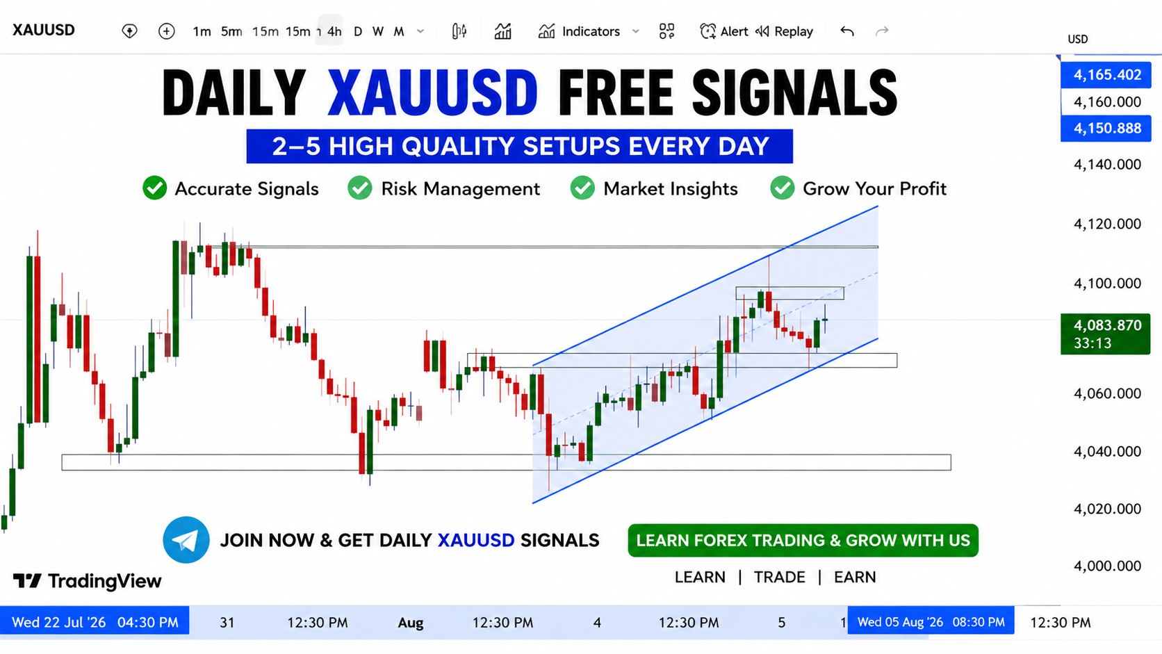 THE FOREX GLOBAL ACADEMY™