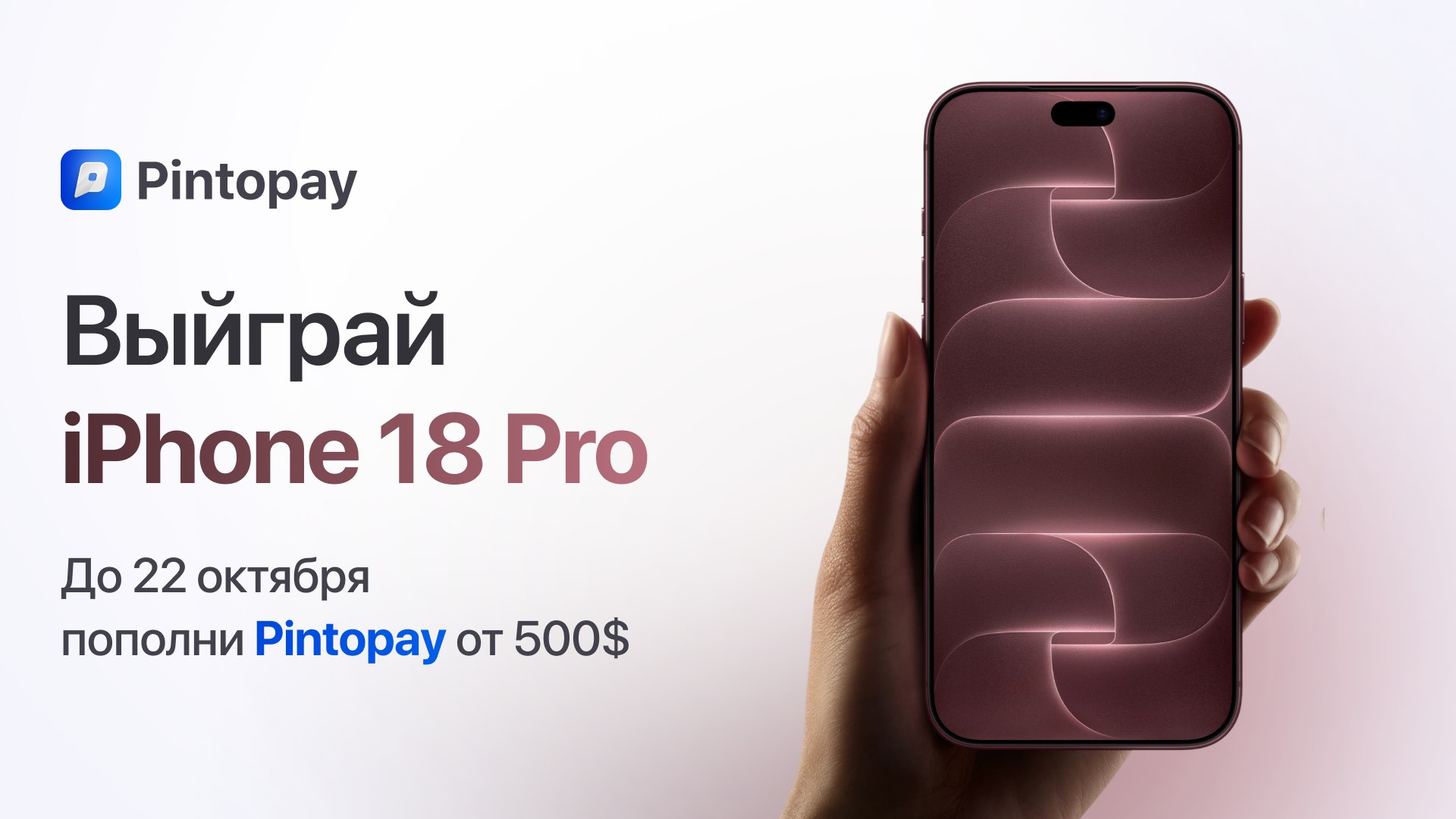 My Pintopay