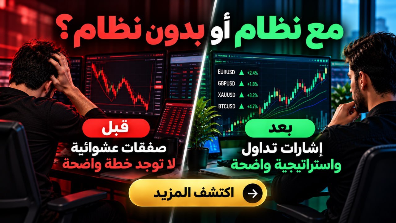 Zinou Dz Trader