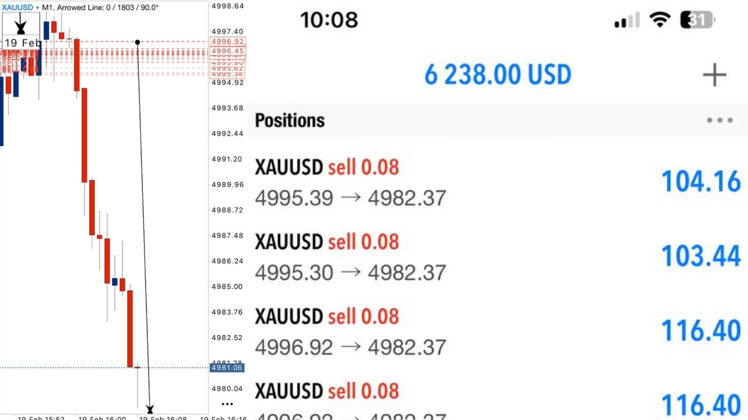 @forex_expert_education_study