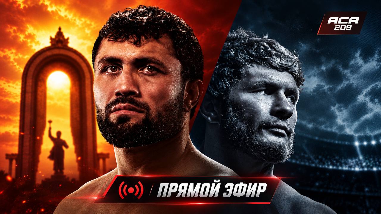 UFC LIVE